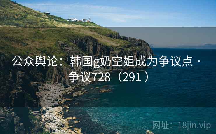 公众舆论：韩国g奶空姐成为争议点 · 争议728（291 ）  第1张
